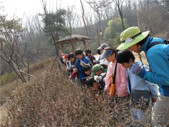 은평구, 숲 해설가와 함께 앵봉산 자연체험 떠나 