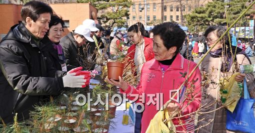 [포토]나무 받아가세요!