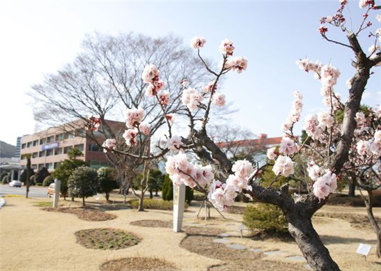 [포토]삼성重 거제 조선소에 찾아온 봄