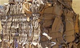 미국서 폐지 수거해 돈 벌기 좋은 이유는?