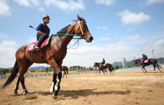 [주말레이싱] 무료 교육, 취업률 100%... 말 되네