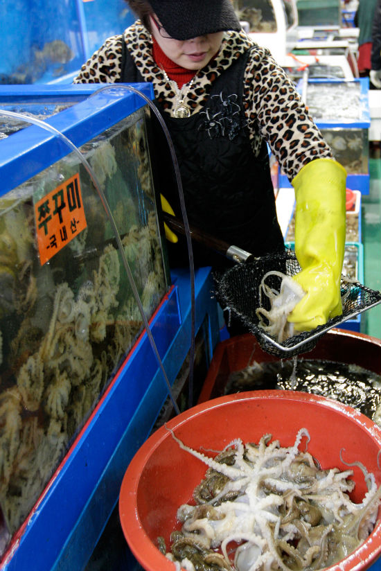 [포토] “무창포서 주꾸미 맛 보세요”