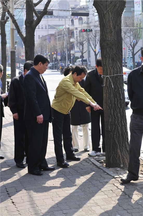 이제학 양천구청장, 신정로 확장 공사 현장 방문 