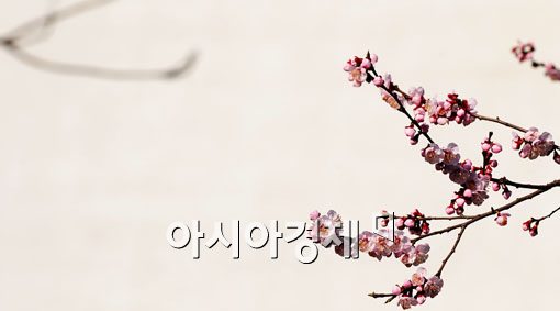 [포토] 한 폭의 그림같은 풍경