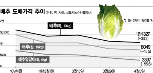 반 값 배추