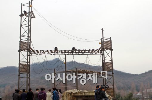 [포토]세계 최고층 침팬지 정글 타워 공개