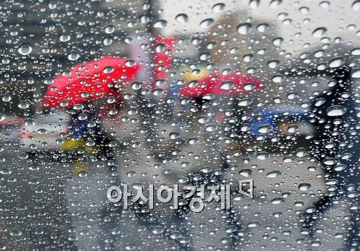 [포토] 이 빗물속에 방사능이?