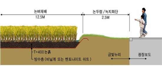 종로구청장 "광화문 광장서 벼 재배하자"(종합)