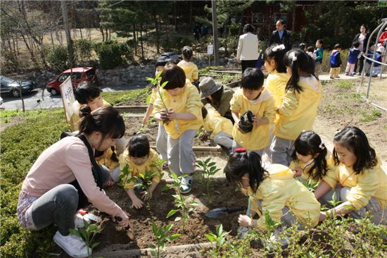 성북구 북한산 숲유치원에 참여하는 어린이집 유아들이 11일 오후 열린 개원식에서 북한산 생태숲 내 텃밭에 고추모종을 심고 있다.
