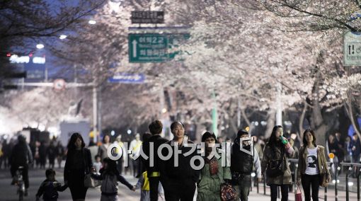 [포토]밤이 아름다운 윤중로