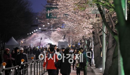 [포토]여의도 벚꽃축제 개막