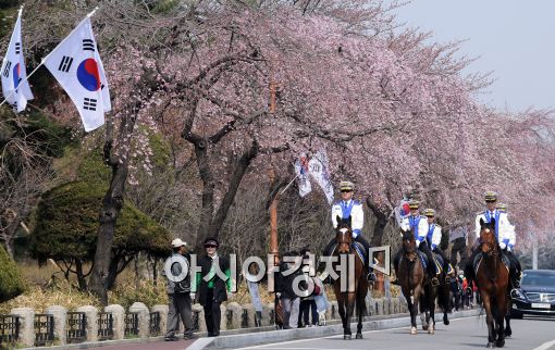 [포토]벚꽃 기마대