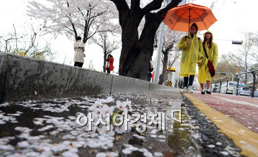 [포토]봄비 낭만에 취해...