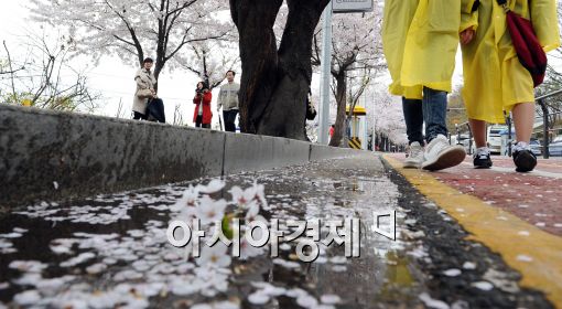 [포토]봄을 시샘하는 봄비