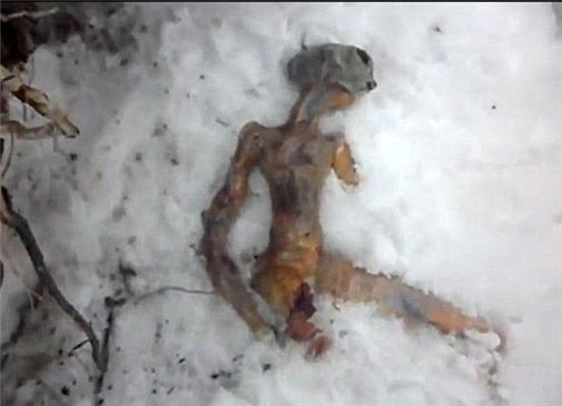 외계인 시신 시베리아 눈 속에서 발견