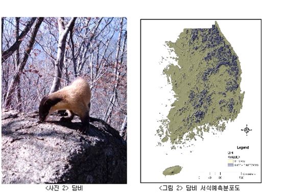 서식지를 알면 종(種)이 보인다