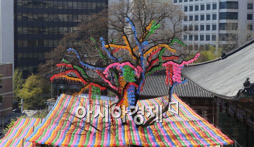 [포토]연등이 '주렁주렁'