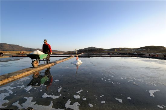 [여행]갈매기와 간 그곳, 섬 삼형제 함께 반기네