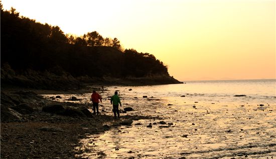 [여행]갈매기와 간 그곳, 섬 삼형제 함께 반기네