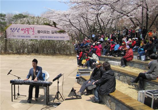 서대문 안산서 '벚꽃길 음악회' 열려