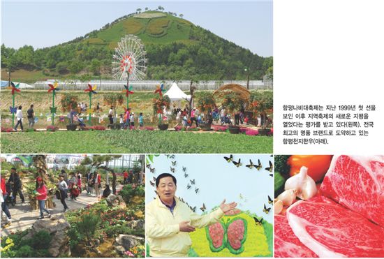 눈부신 봄날… 춤추는 나비… 판타스틱 함평!