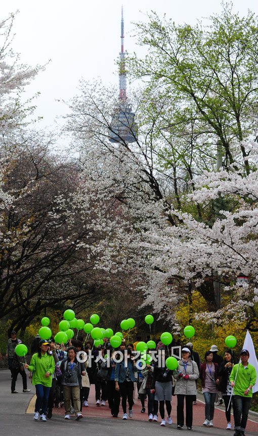 [포토] 벚꽃 만발한 남산 걷기