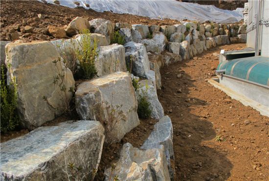마포구가 ‘돌은행’에 보관하던 조경석 20톤을 성산동 41-3 공원의 태풍피해복구 작업에 그대로 사용했다.
