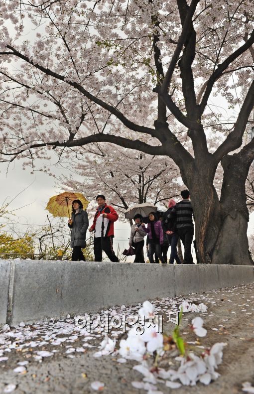 [날씨]낮에 포근 점차 흐려져‥주말 전국 雨 