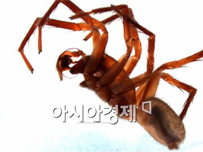 북한산에 얼마나 많은 생물들이 살까?