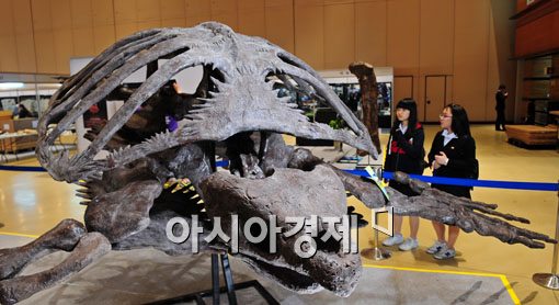 [포토] 거대한 공룡 화석 보려오세요~