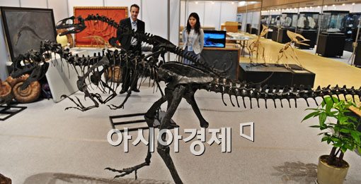 [포토] 공룡화석 보려 오세요~