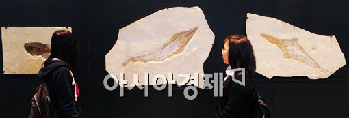 [포토] 진기한 공룡 화석 보려오세요~