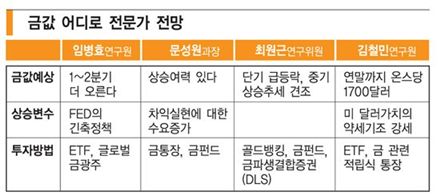 ‘천정부지’ 金값 지금 투자해도 될까