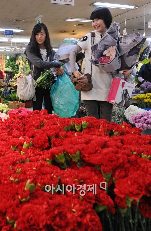 [포토]카네이션으로 가득 메운 꽃시장