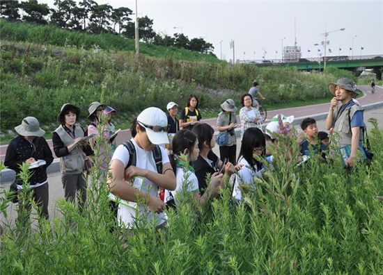 안양천 가서 자연체험 여행 즐겨볼까