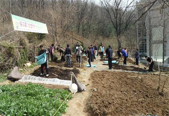 도봉구 "창3동 주말농장으로 오세요"