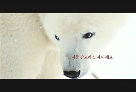 멸종 위기 북극곰, 광고모델로 '감동'준다