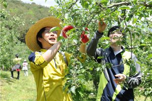 기보, 밀양에서 농촌봉사 활동 펼쳐
