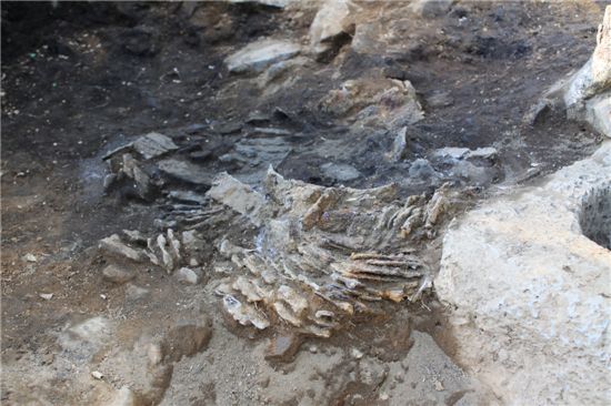 경기 연천군 무등리 2보루에서 완전한 형태의 고구려 철비늘 갑옷이 처음으로 발굴됐다. 무등리 2보루로 들어가는 문터에서 발견된 철비늘 갑옷의 모습.