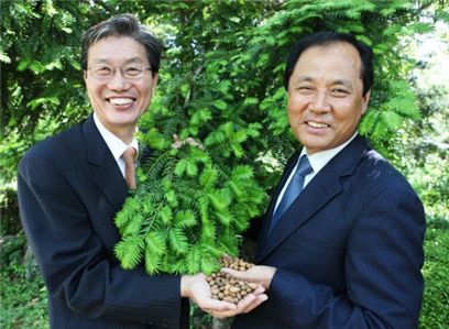 아모레퍼시픽 생산물류부문 심상배 부사장(사진 왼쪽)과 제주 송당리 김양수 이장이 비자나무 앞에서 열매를 들어 보이고 있다.