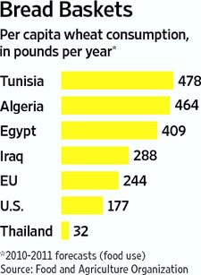 튀니지 등 중동 국가들,"밀값 올라 못살겠다" 아우성