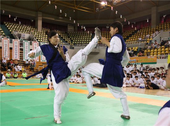 충주에서 전국 택견인대회 