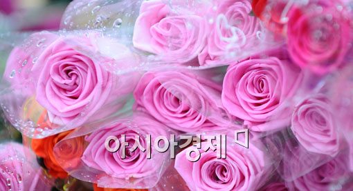 [포토] 때이른 더위 식혀주는 반가운 손님
