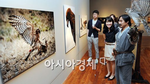 [포토] 살아있는 황조롱이와 함께하는 생태사진전