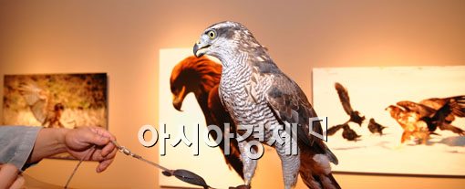 [포토] 살아있는 생태사진전