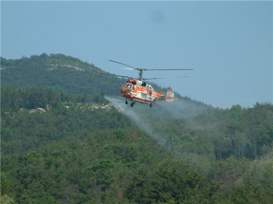 지난해 항공방제 모습. 산림청 헬리콥터가 남해안 소나무숲 위에서 제선충병 예방약제를 뿌리고 있다. 