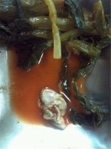 수원, 중학교 급식서 '개구리' 나와 '발칵'