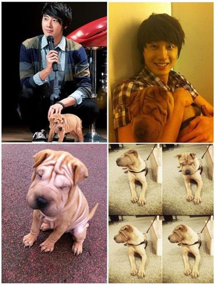 Korean actor Jung Il-woo and his dog Ah-woo [N.O.A Entertainment]