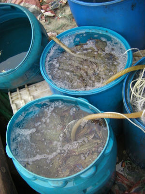 어족자원 ‘싹쓸이’하던 중국 어선 검거