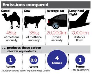 탄소배출량 비교.